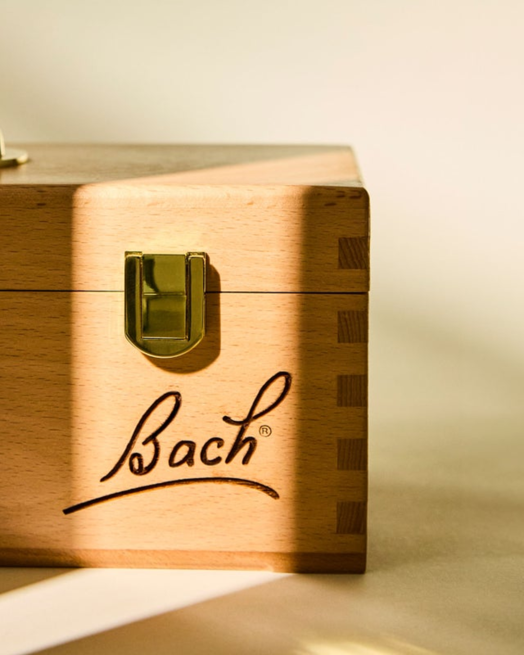 Bach Bloesems