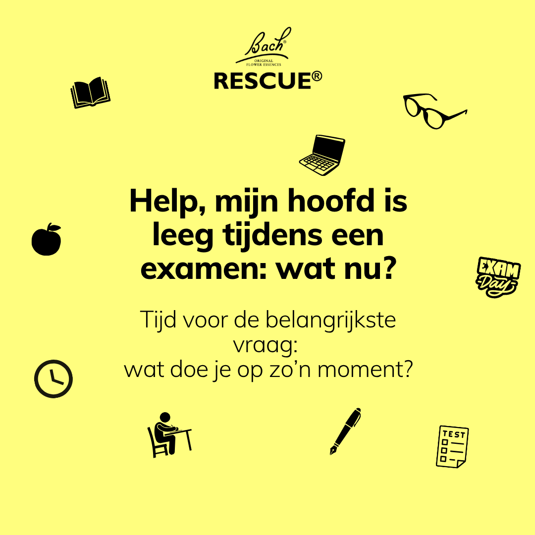Help, mijn hoofd is leeg tijdens een examen: wat nu?
