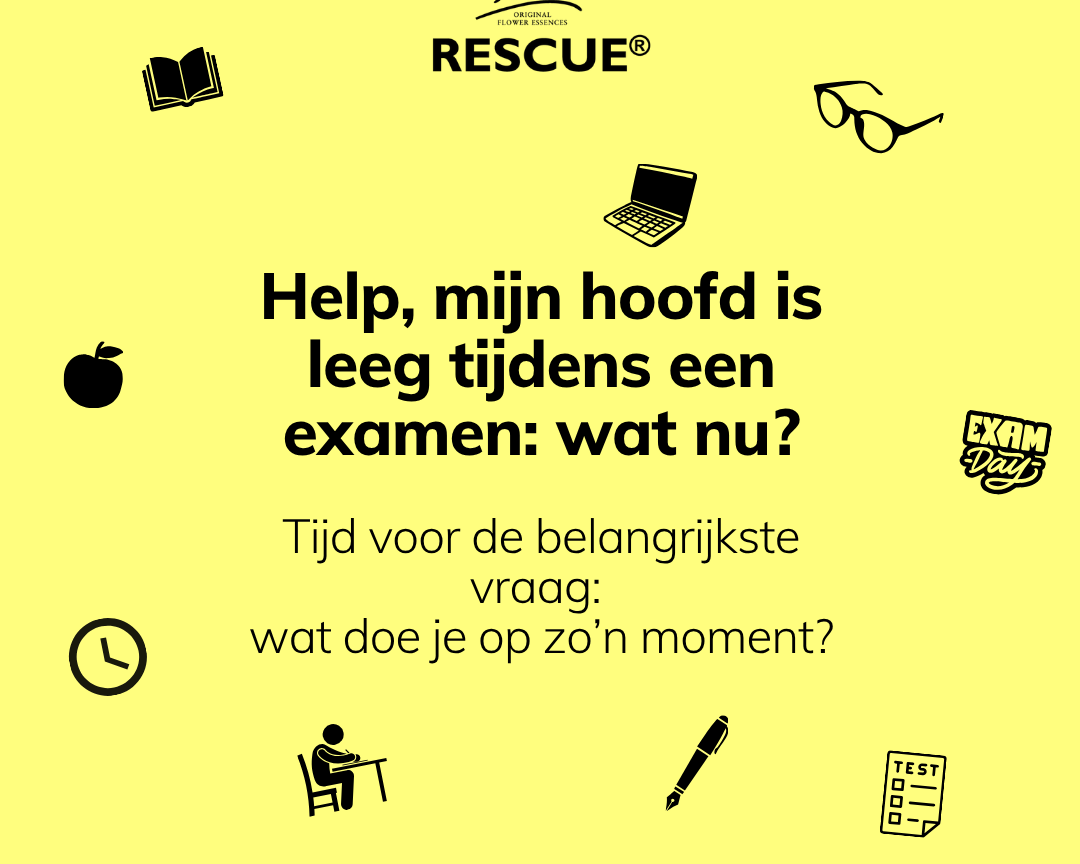 Help, mijn hoofd is leeg tijdens een examen: wat nu?
