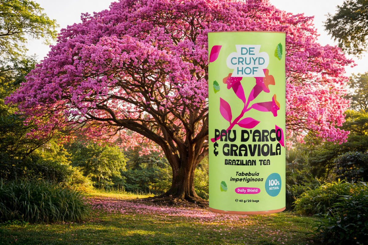 Pau d’Arco thee: een aards theeritueel uit het Amazonegebied