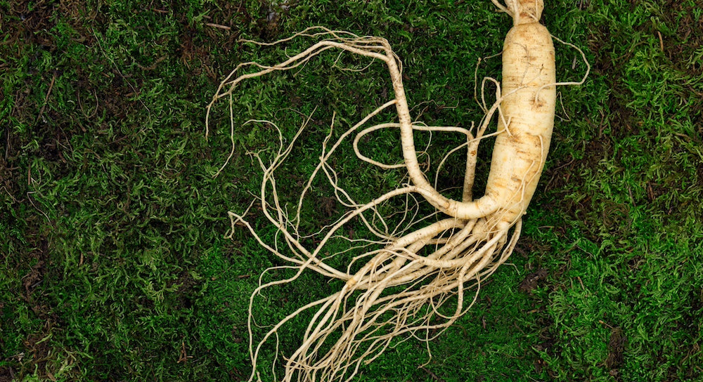 Siberische ginseng: oergezonde energiebooster
