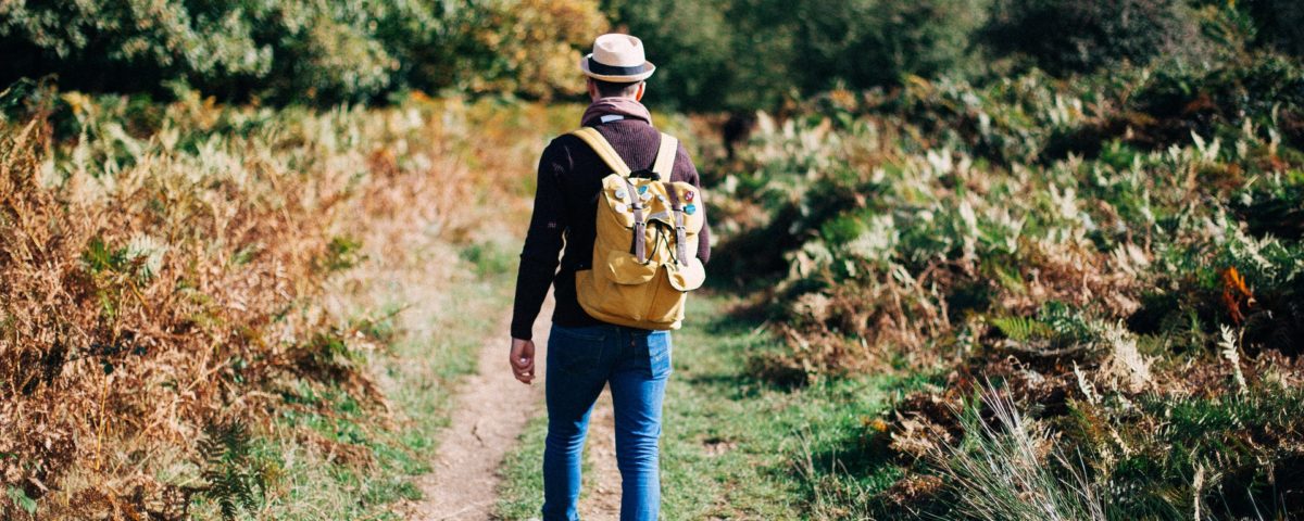 Bewegen op praattempo: de basis voor een fit en vitaal lichaam