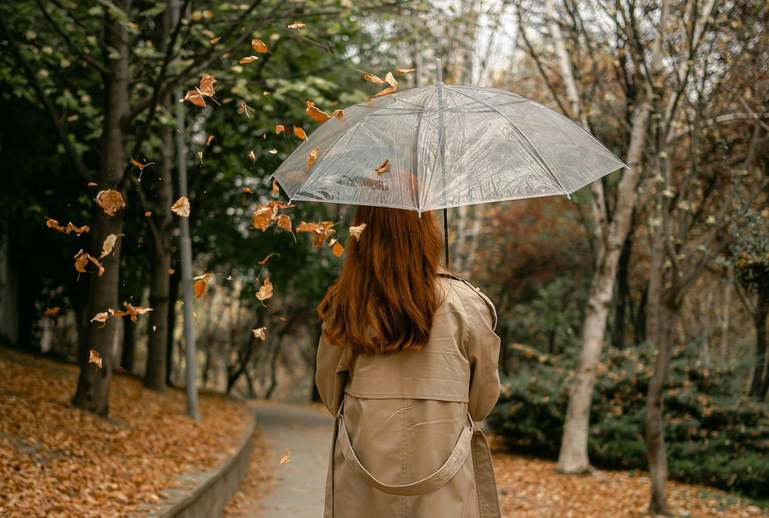 Mustard: steun bij stemmingen zonder duidelijke reden