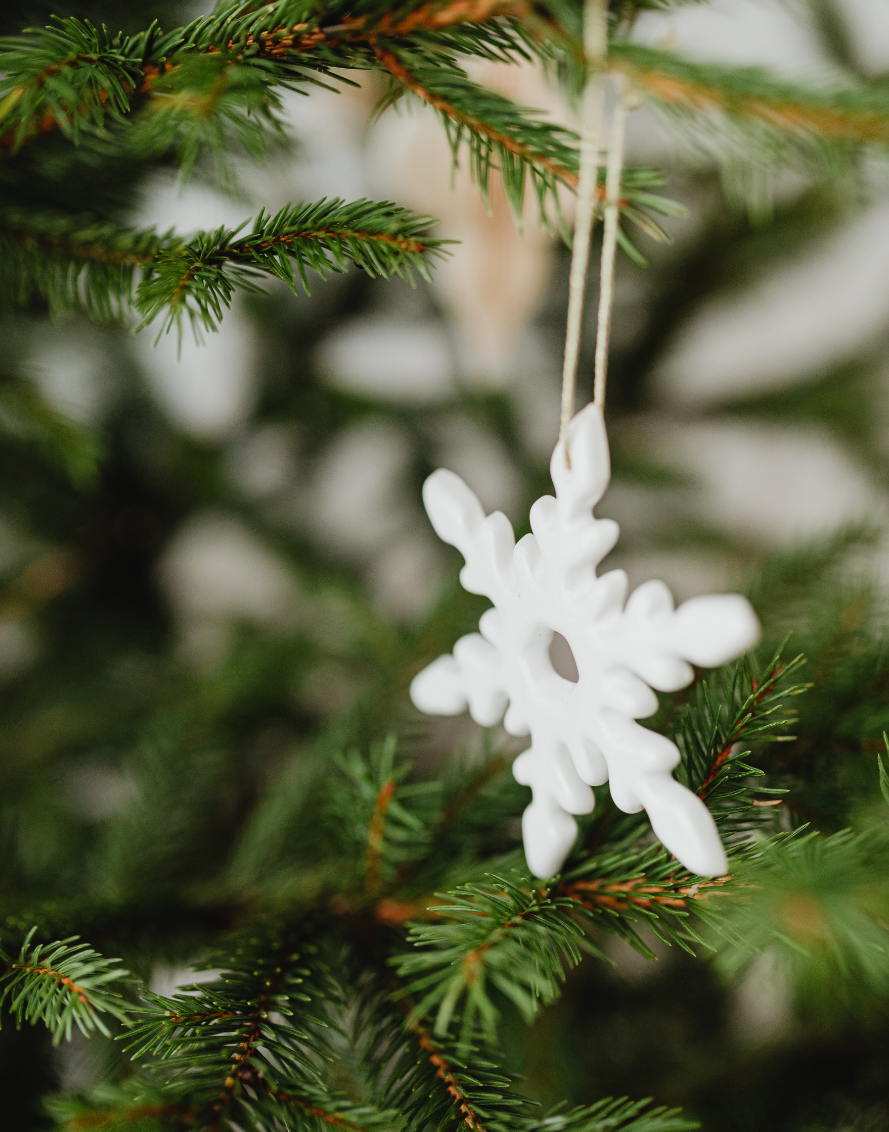 Welke emotie vraagt om aandacht? Star of Bethlehem helpt je verwerken