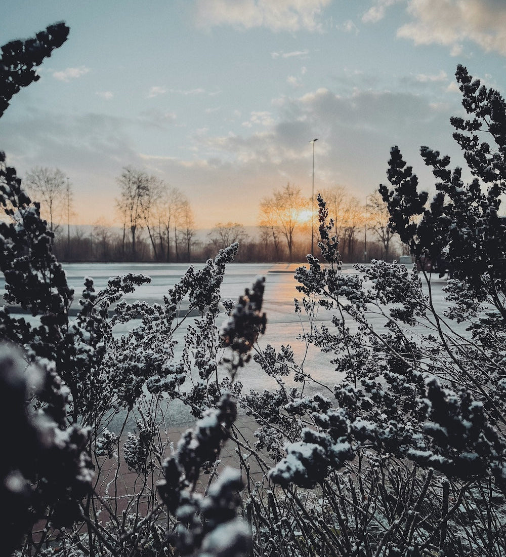 Jouw natuurlijke zelfzorgroutine in 5 stappen in de winter