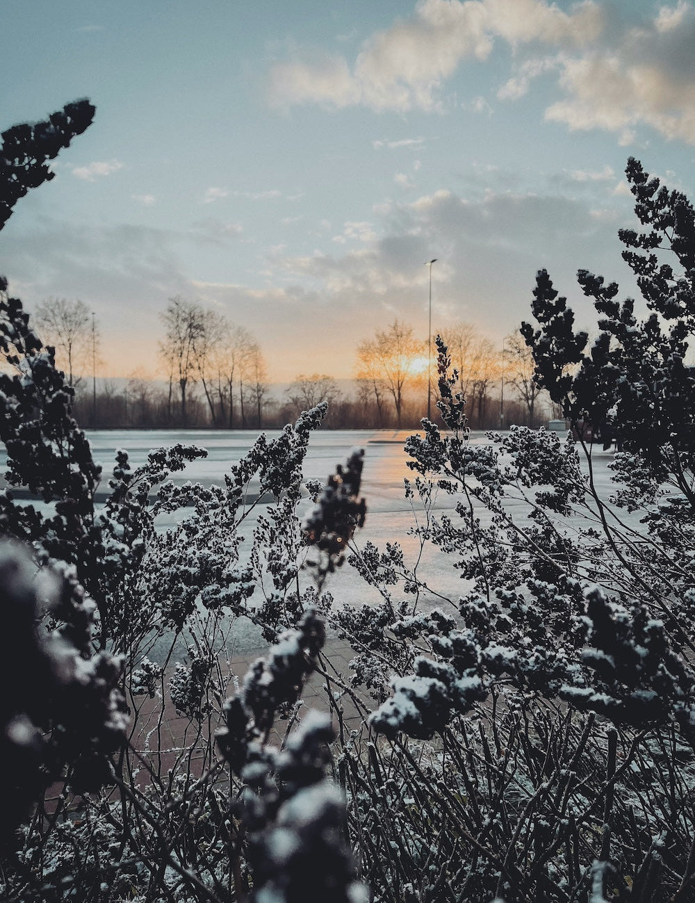 Jouw natuurlijke zelfzorgroutine in 5 stappen in de winter