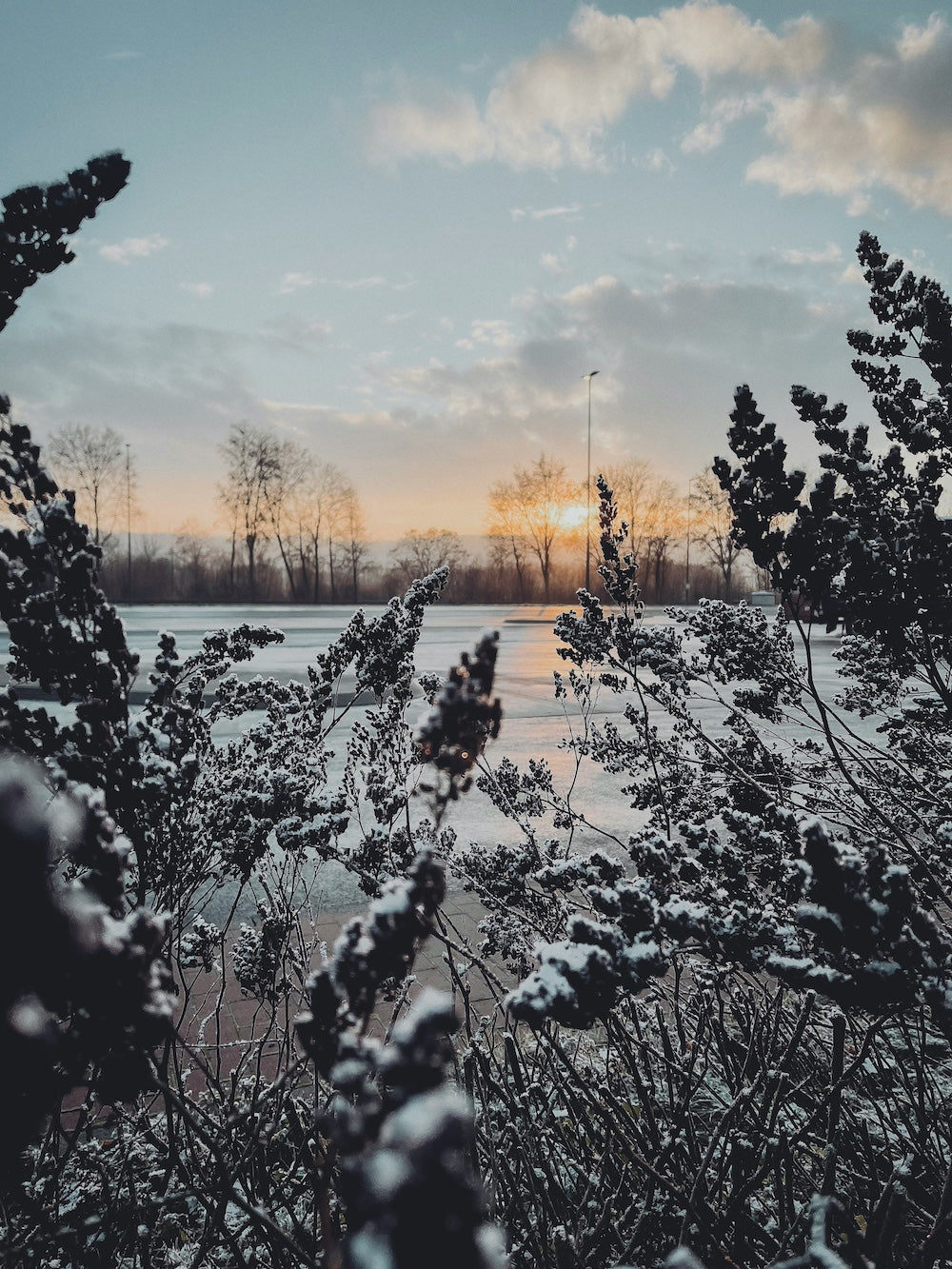 Jouw natuurlijke zelfzorgroutine in 5 stappen in de winter