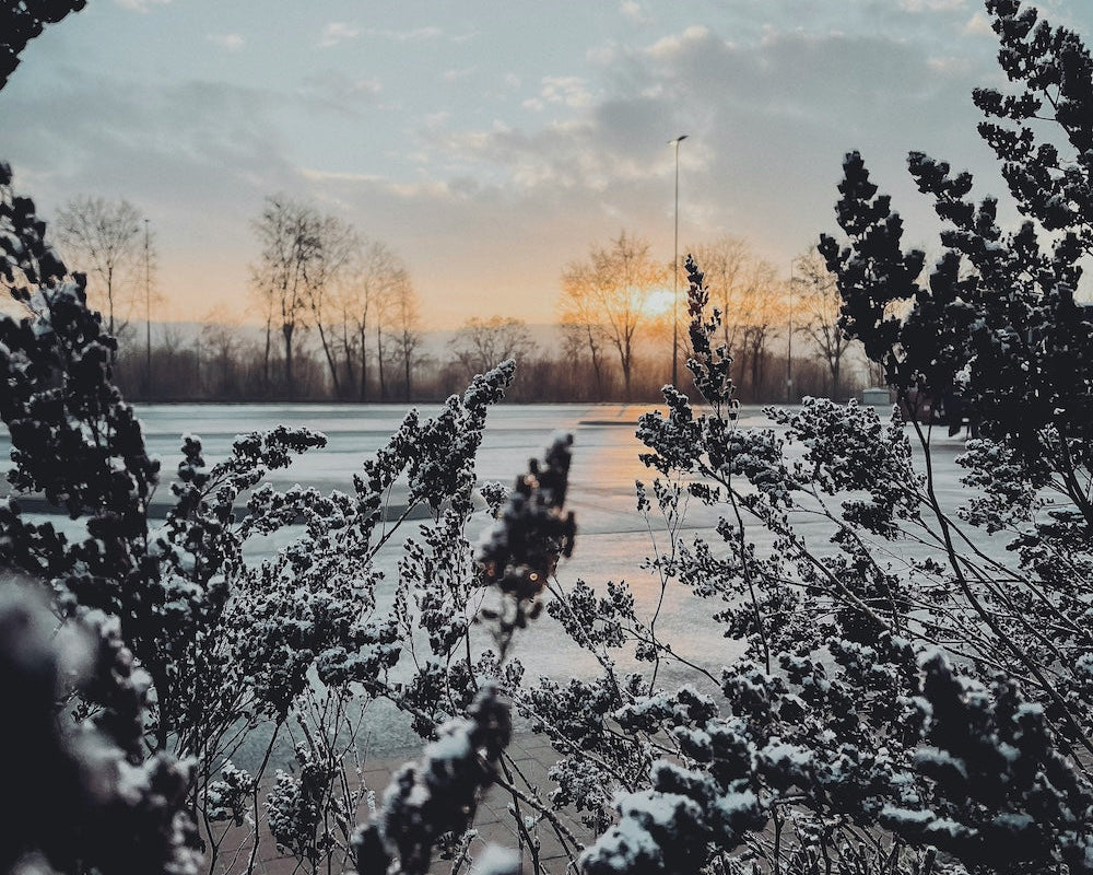 Jouw natuurlijke zelfzorgroutine in 5 stappen in de winter