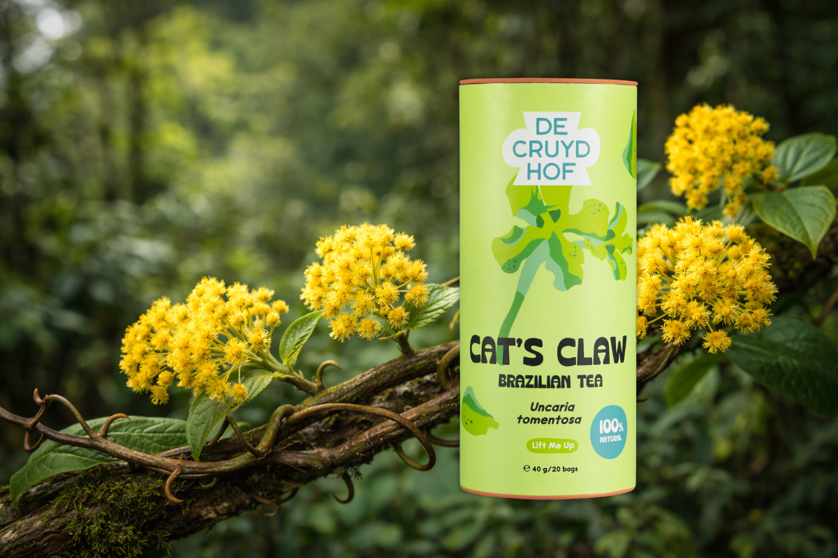 Cat’s Claw thee: een krachtig kruid uit het regenwoud