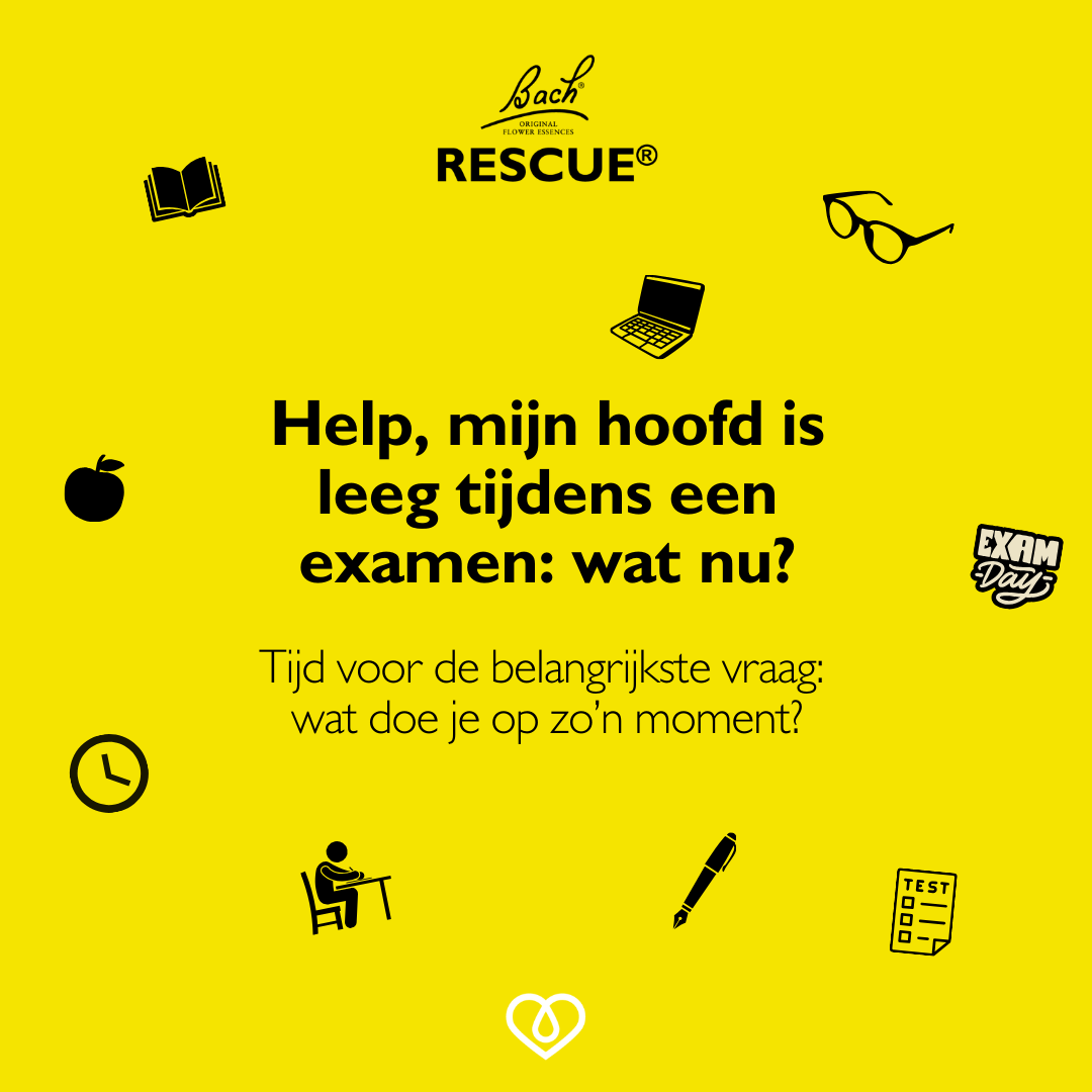 Help, mijn hoofd is leeg tijdens een examen: wat nu?