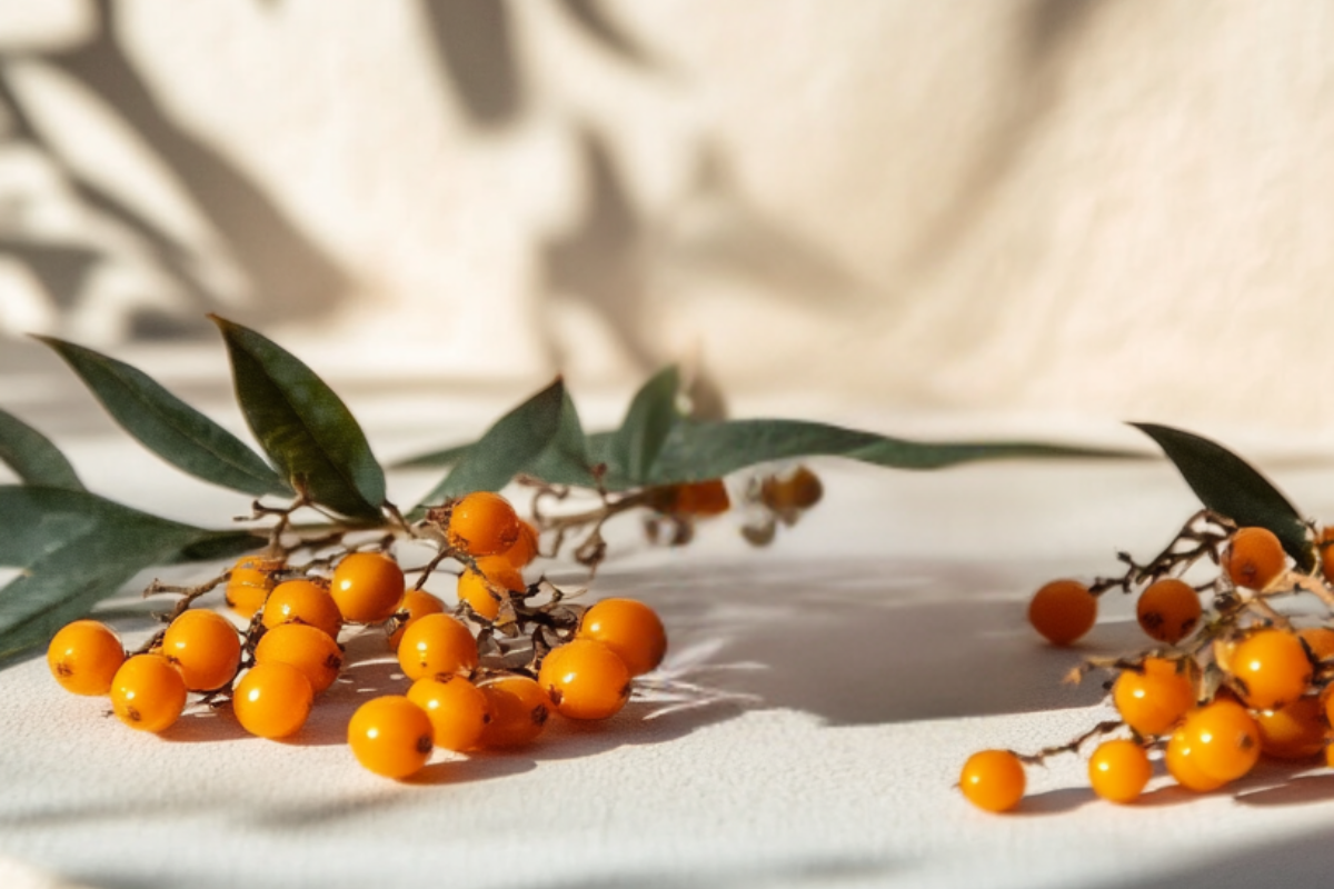 De duindoornbes: een bijzondere bes voor je huid en slijmvliezen