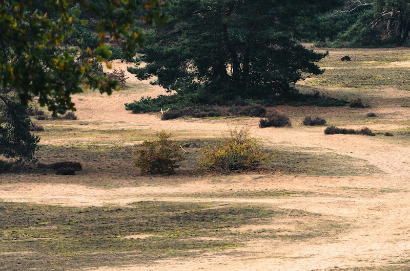Kom tot rust op deze vijf stille plekken in Nederland