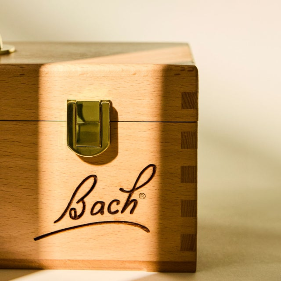 Bach Bloesems