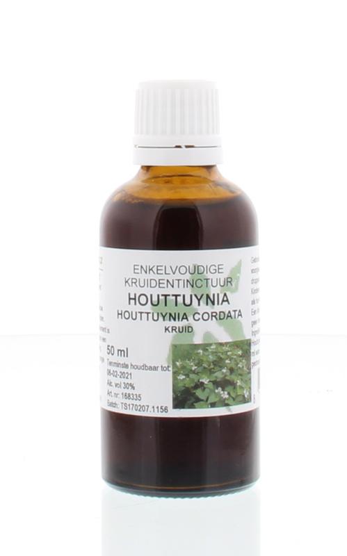 Houttuynia cordata hrb/Houttuynia
