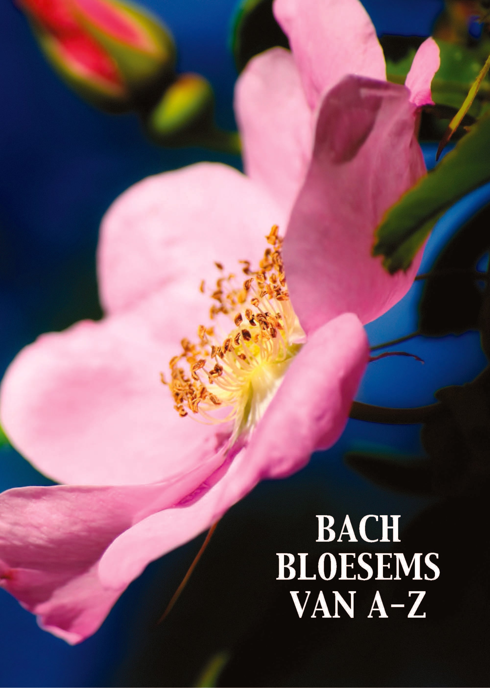 Bach Bloesems van A tot Z brochure