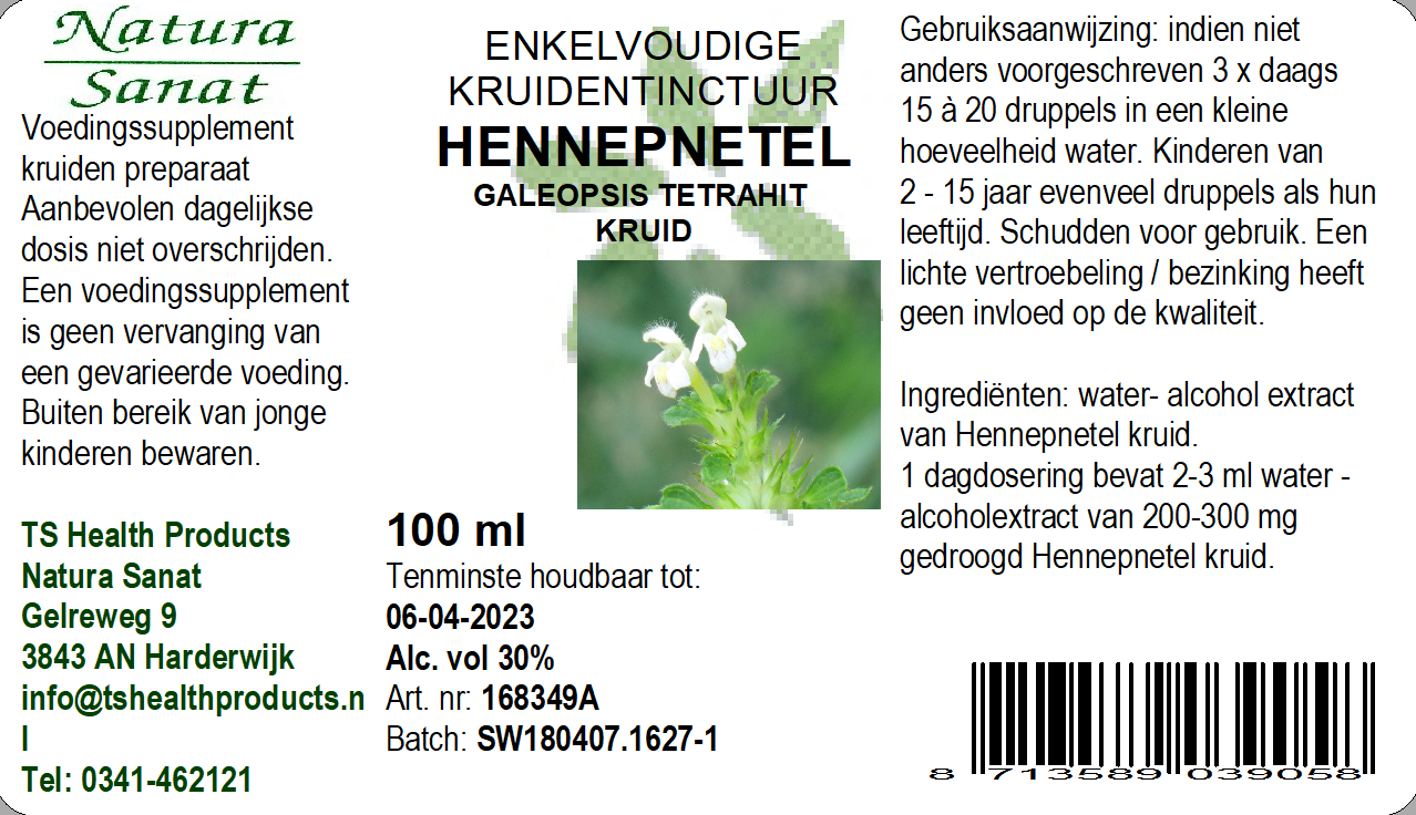 Galeopsis tetrahit hrb/Hennepnetel