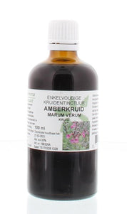 Marum verum hrb/Amberkruid