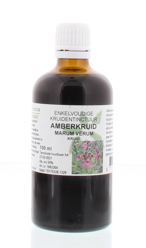 Marum verum hrb/Amberkruid