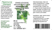 Galeopsis tetrahit hrb/Hennepnetel