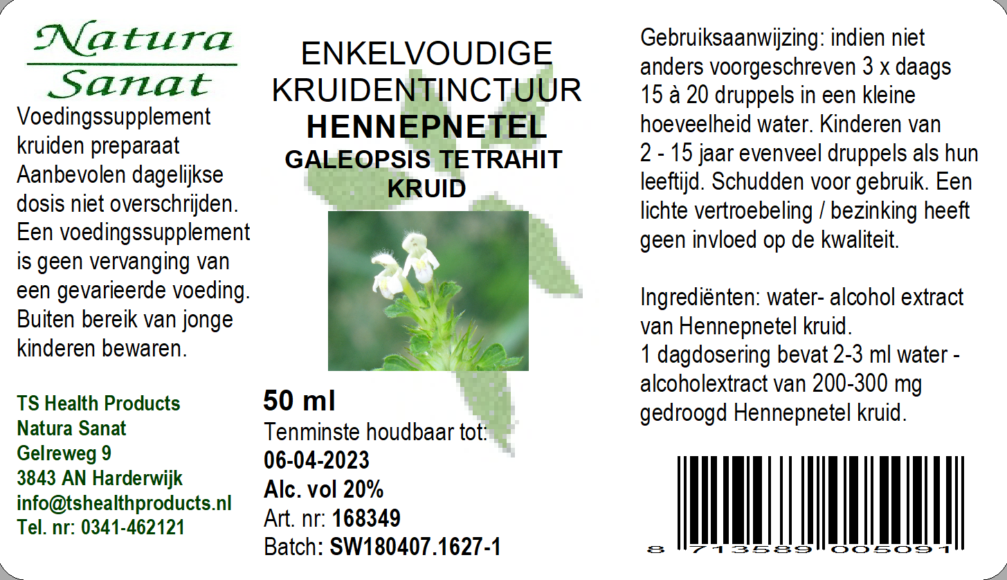 Galeopsis tetrahit hrb/Hennepnetel
