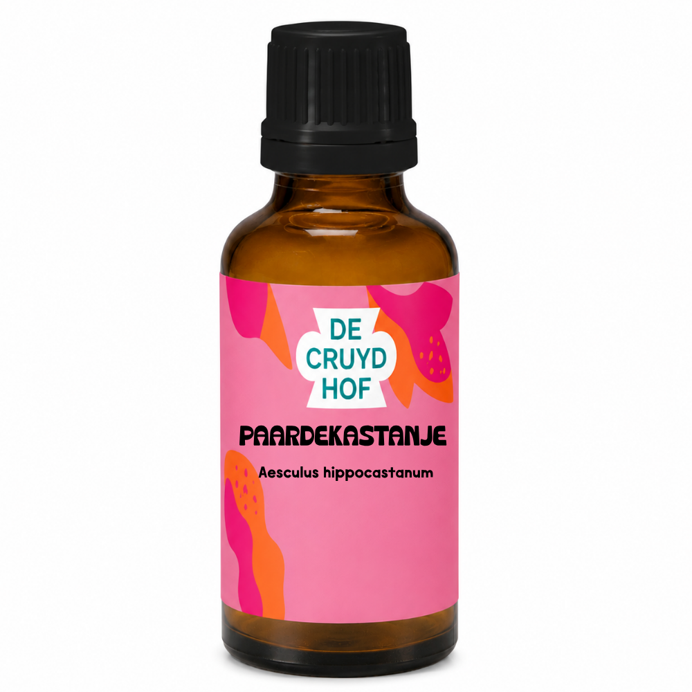 Aesculus hippocastanum/Paardekastanje
