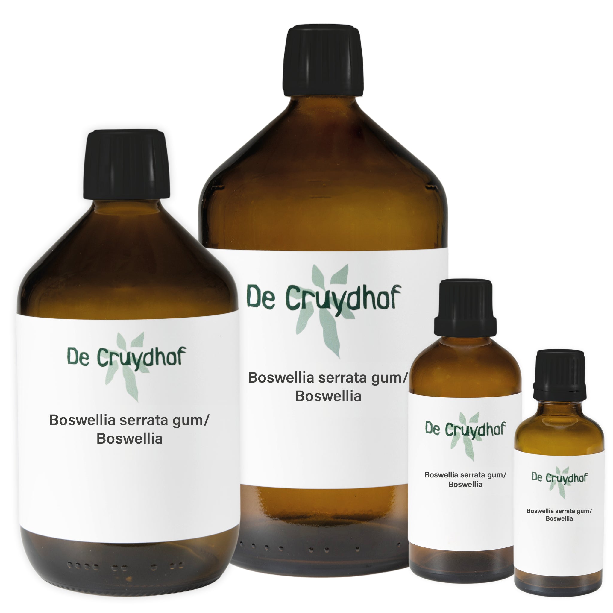 Boswellia serrata gum/Boswellia