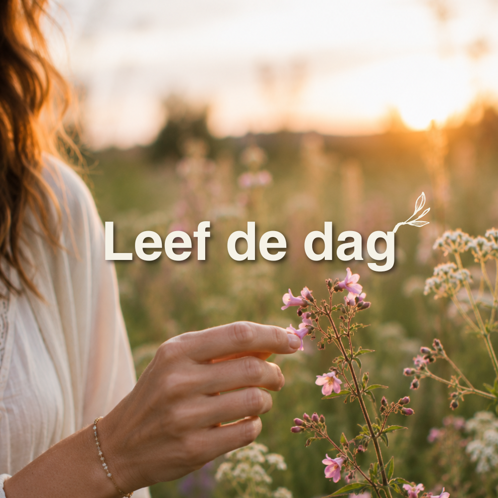 4. Leef de dag
