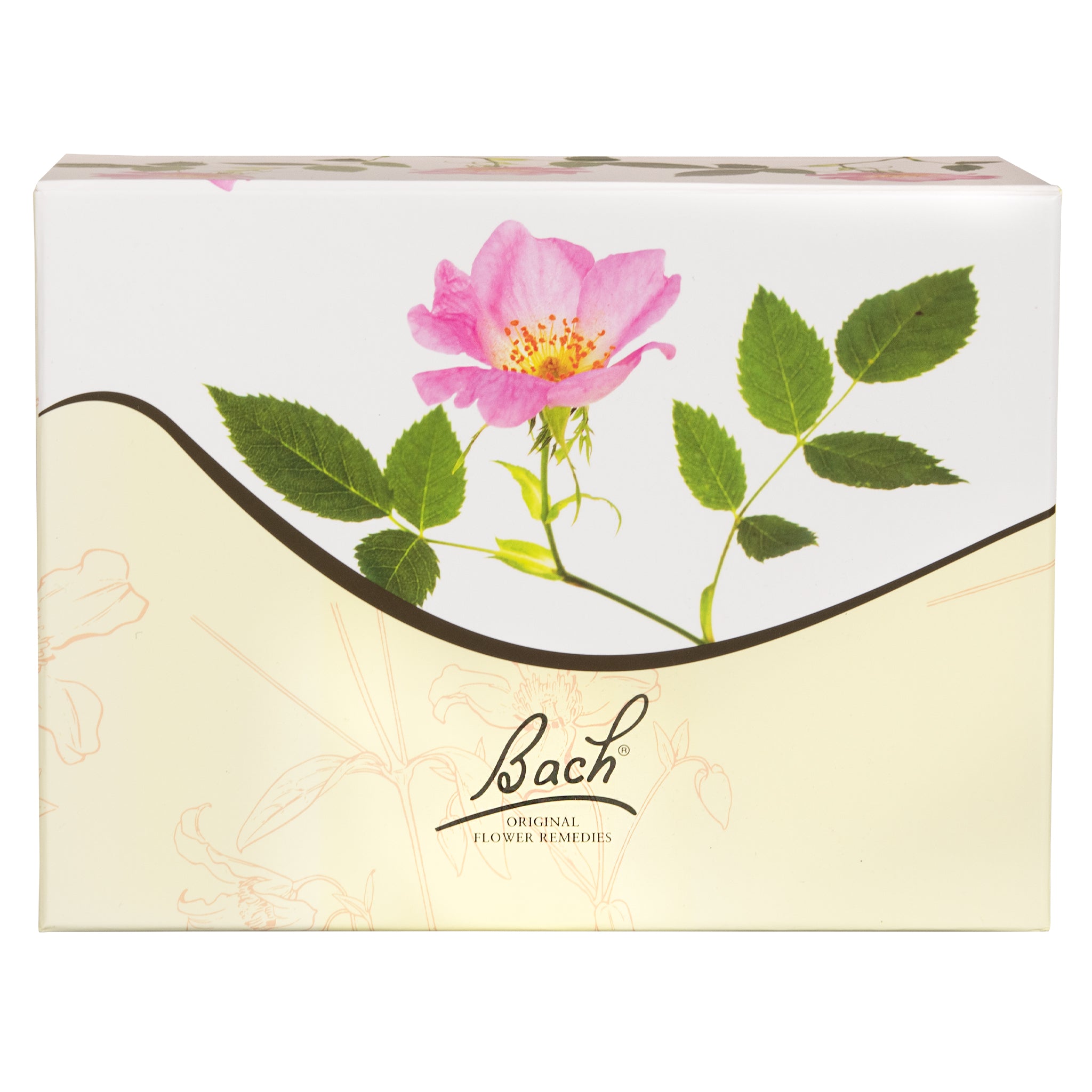 Bach set (German) in luxury presentation box, 40 pcs … 10 ml