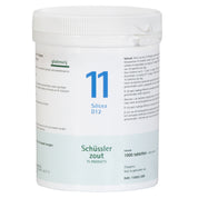 No. 11 Silicea D12