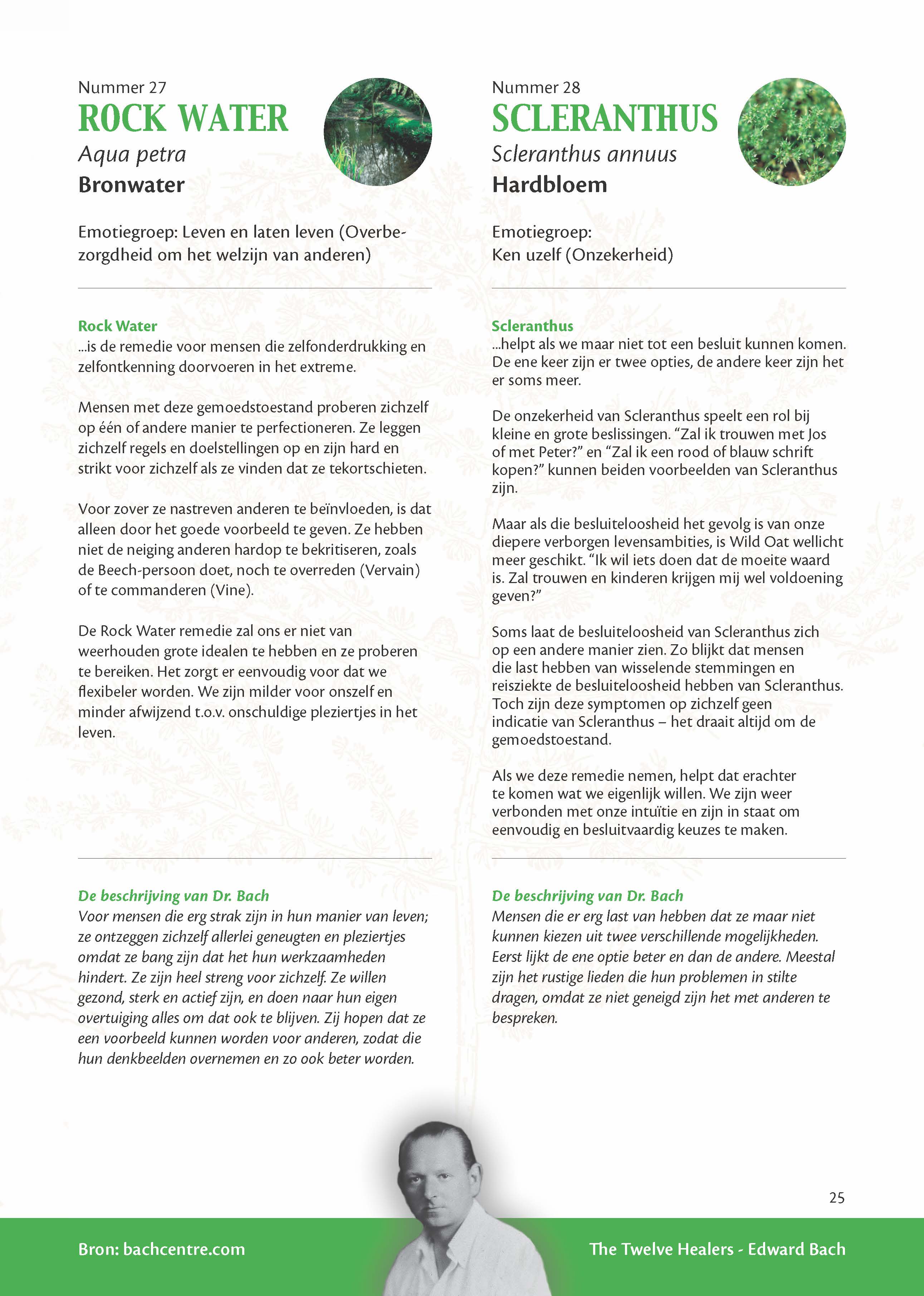 Bach Bloesems van A tot Z brochure