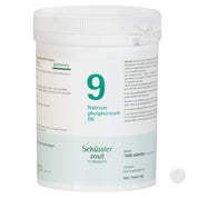 Schüssler zout Nr. 9 Natrium phosphoricum D6