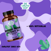 De Cruydhof Quebra Pedra extract 5:1, 60 vcaps