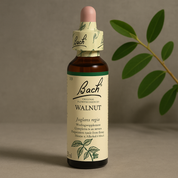 Bach Walnut Nr. 33, 20 ml