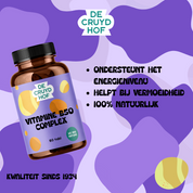 De Cruydhof Vitamine B50 complex, 60 tabl