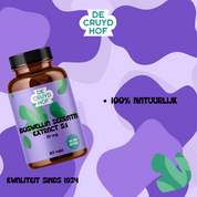 De Cruydhof Boswellia serrata extract 5:1, 60 tabl