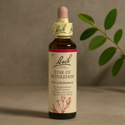 Bach Star of Bethlehem No. 29.20 ml