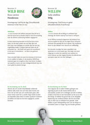 Bach Bloesems van A tot Z brochure