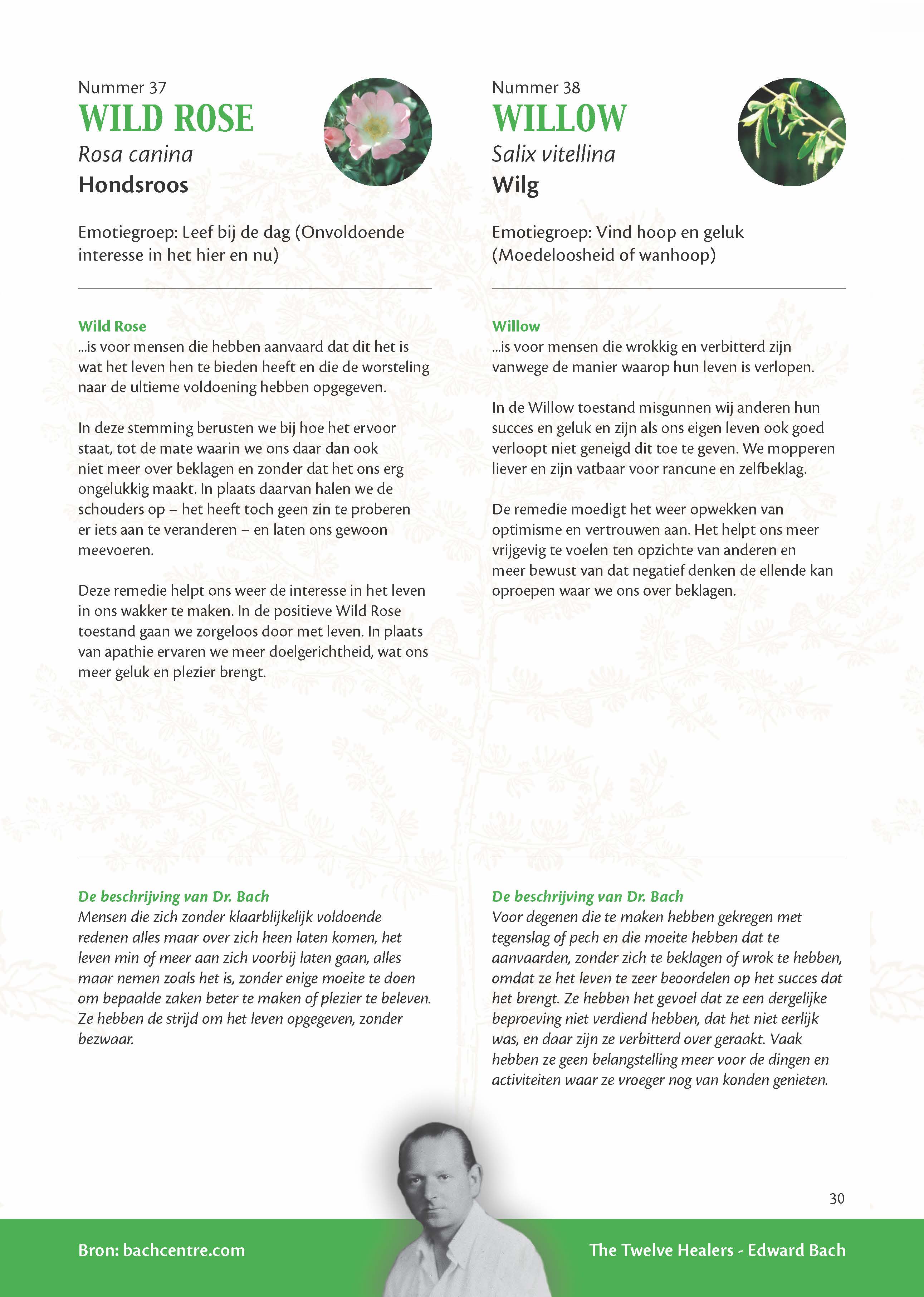 Bach Bloesems van A tot Z brochure