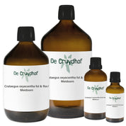 Crataegus oxyacantha fol&flor/Meidoorn