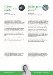 Bach Bloesems van A tot Z brochure