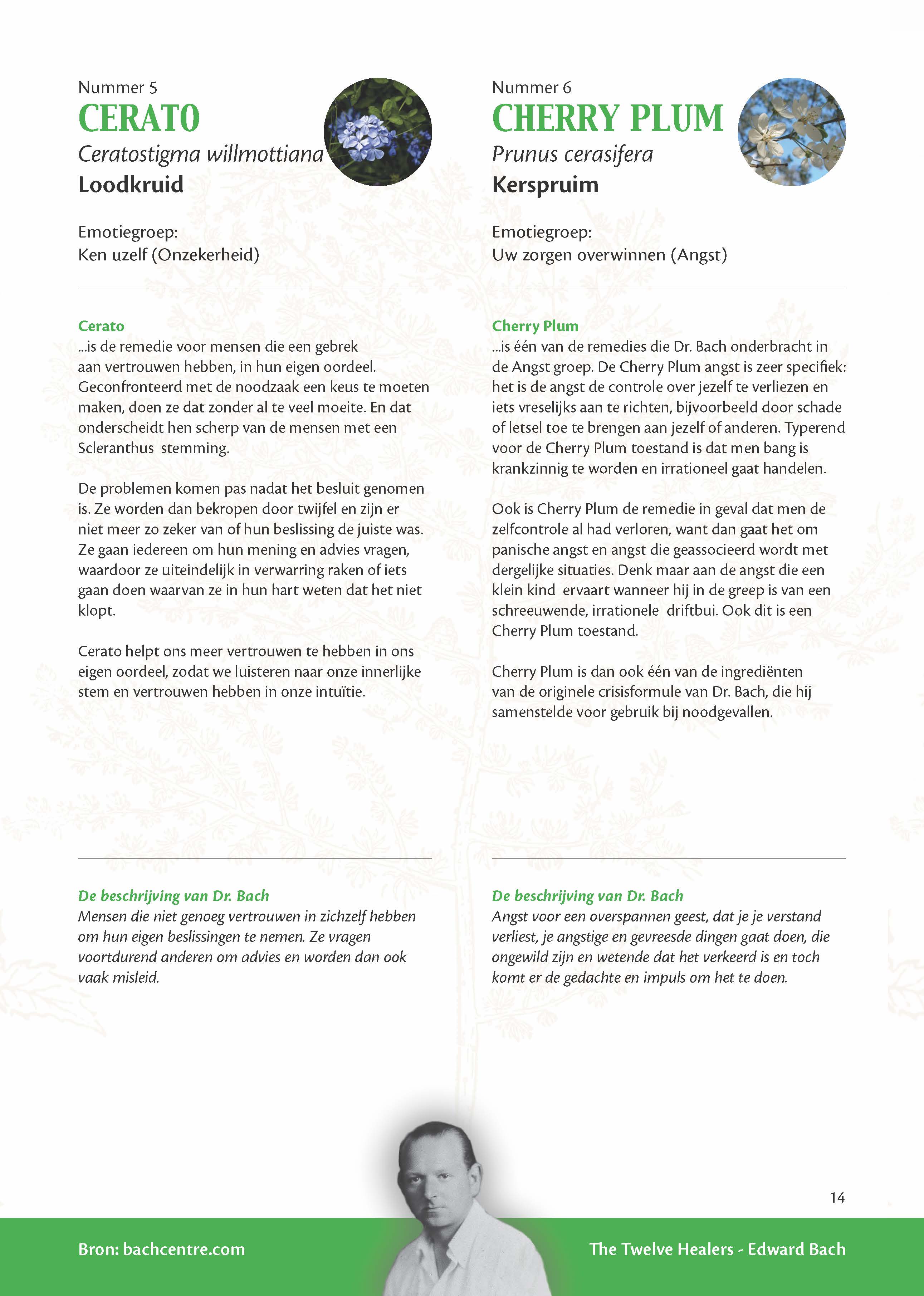 Bach Bloesems van A tot Z brochure