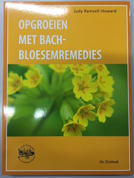 Opgroeien met BBR, J.Ramsell