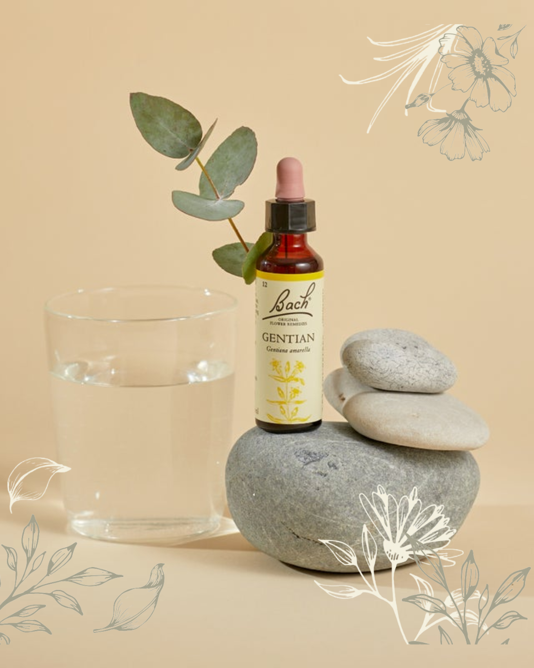 The 38 Bach Flower Remedies