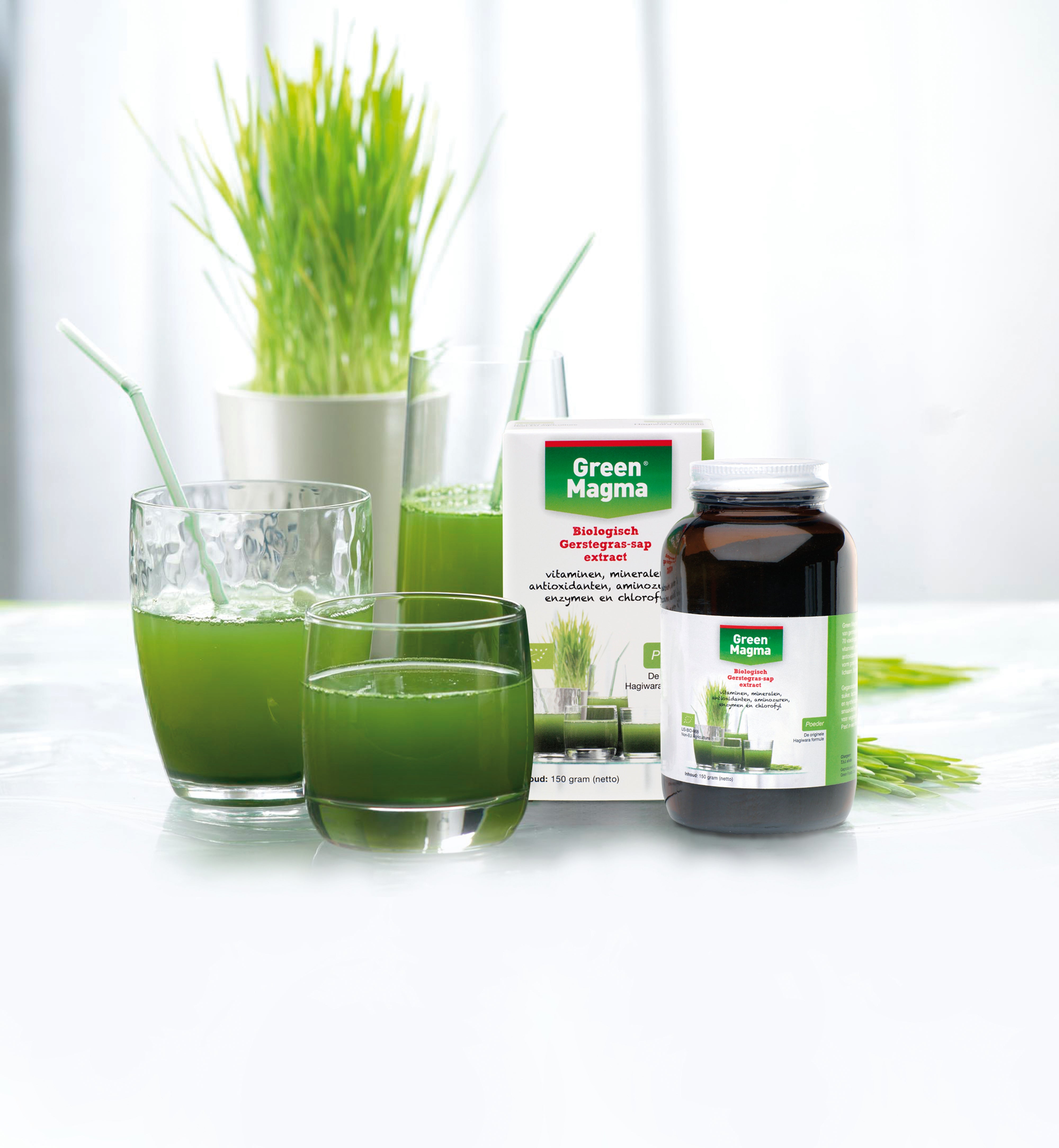 The Green Magma offer