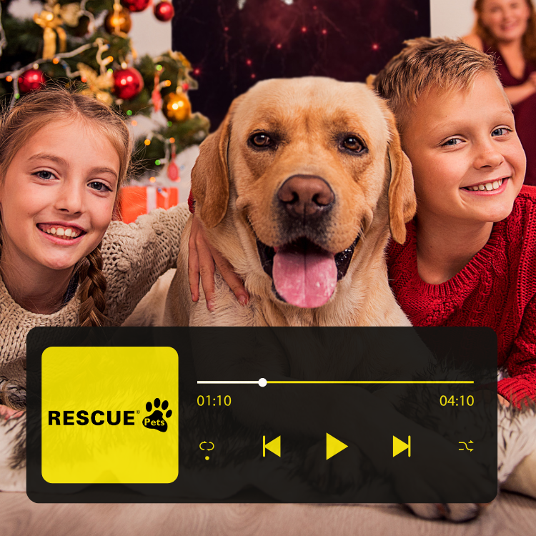 Spotify afspeellijst voor dier &amp; baasje