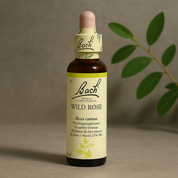 Bach Wild Rose No. 37, 20 ml