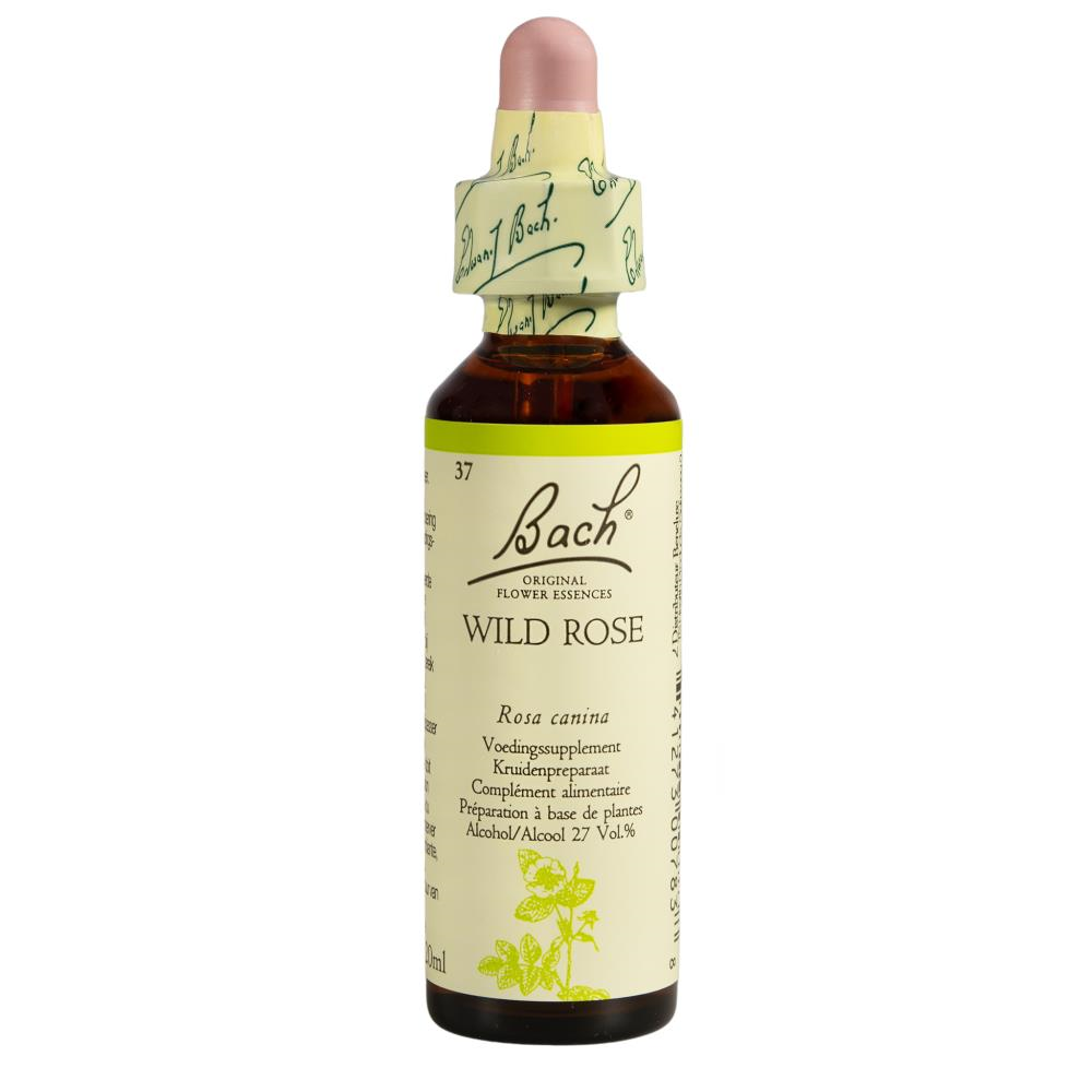 Bach Wild Rose Nr. 37, 20 ml