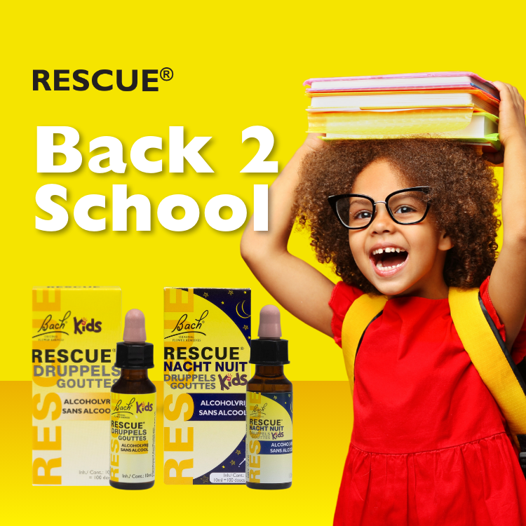 back-to-school-rescue.png