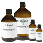 De Cruydhof Solidago virgaurea hrb/Guldenroede