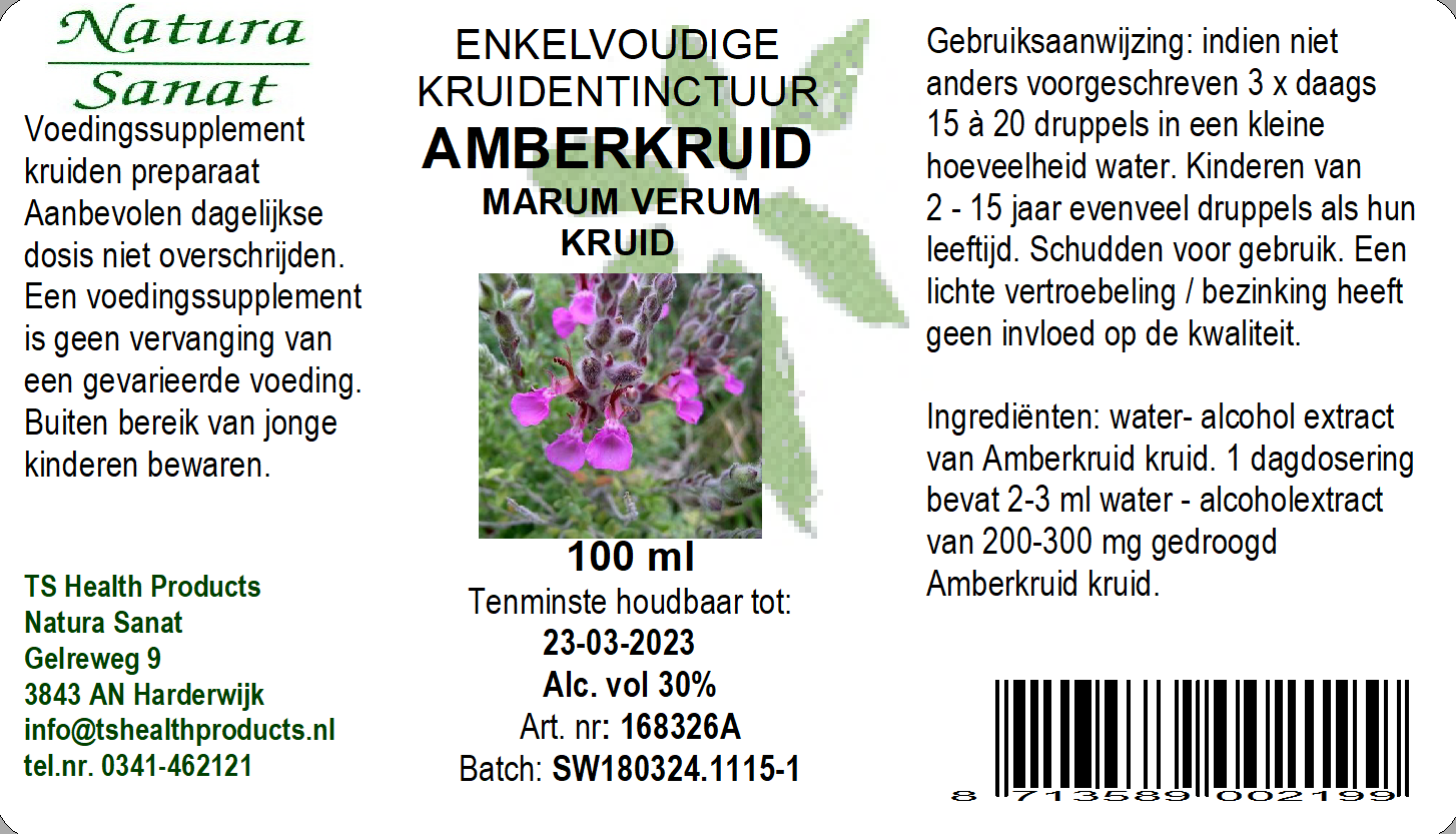 Marum verum hrb/Amberkruid